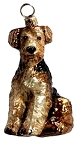 Welsh Terrier
